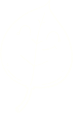 Bir insan tarafından çizilmiş Eski Yaprak Tebeşiri