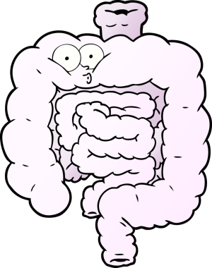 Bir insan tarafından çizilmiş bağırsaklar şaşırtıcıydı.