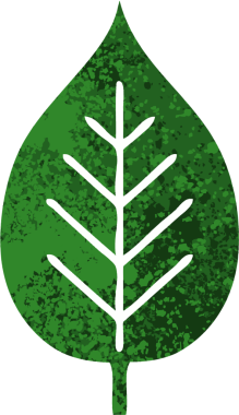 Bir insan tarafından çizilmiş yeşil bir yaprağın retro çizim tarzı karikatürü