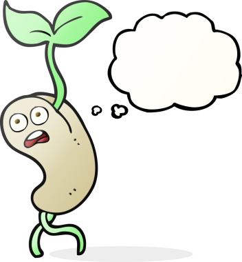 Bir insan tarafından çizilmiş serbest çizim düşünce balonu tohumu filizlenmesi.