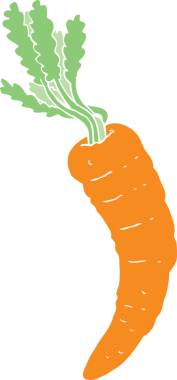 Bir insan tarafından çizilmiş havucun düz renk çizimi