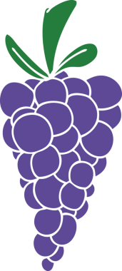 Bir insan tarafından çizilmiş garip bir üzüm demeti.