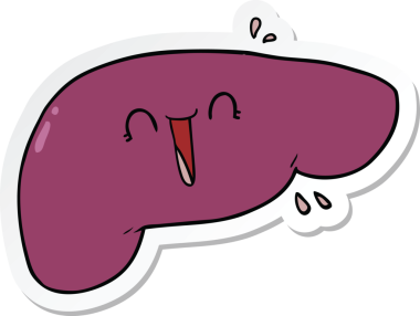 Bir insan tarafından çizilmiş karaciğerin çıkartması.