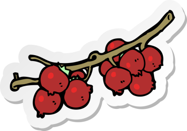 Bir insan tarafından çizilmiş böğürtlenlerin çıkartması.