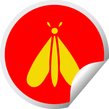 Bir insan tarafından çizilmiş güve böceğinin dairesel kabuk soyma etiketi.