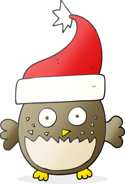 Bir insan tarafından çizilmiş Noel şapkası giyen baykuş çizimi.