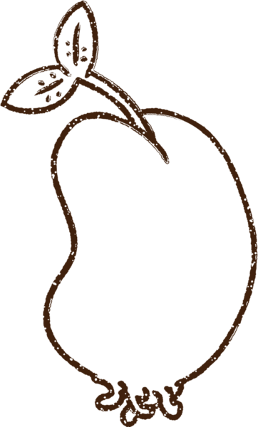 Bir insan tarafından çizilen filizlenen fasulye kömürü.