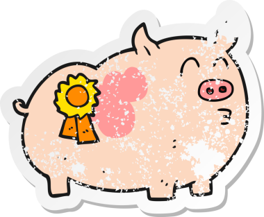 Bir insan tarafından çizilmiş ödül kazanan bir domuzun gerilimli çıkartması.