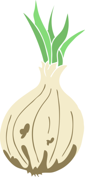 Bir insan tarafından çizilmiş soğanın düz renk çizimi