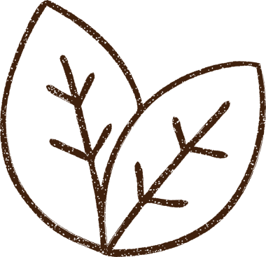 Bir insan tarafından çizilmiş Kömür Yaprakları