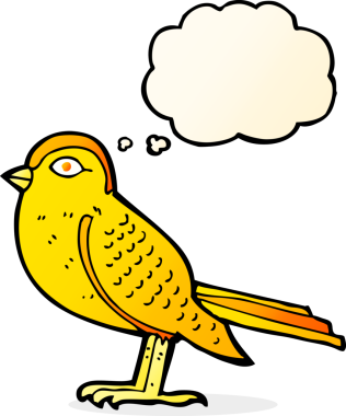 Bir insan tarafından çizilmiş düşünce baloncuklu bahçe kuşu.