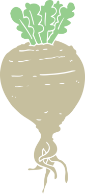 Bir insan tarafından çizilmiş düz renk kök sebzesi