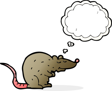 Bir insan tarafından çizilmiş düşünce baloncuklu çizgi film faresi.