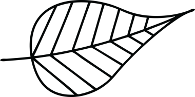 Bir insan tarafından çizilmiş yeşil bir yaprağın çizgi çizimi