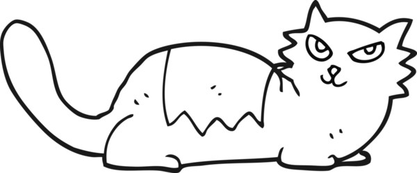 Bir insan tarafından çizilmiş siyah beyaz çizgi film kedisi.