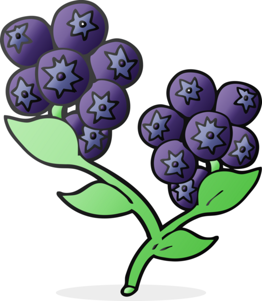 Bir insan tarafından çizilmiş yaban mersini karikatürü.