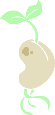 Bir insan tarafından çizilen filizlenen tohumun düz renk çizimi