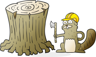 Bir insan tarafından çizilmiş karikatür kunduzu.