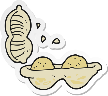 Bir insan tarafından çizilmiş yerfıstığı etiketi.