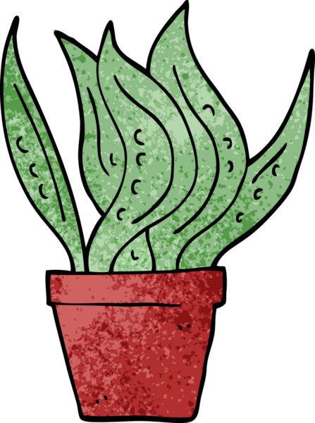 Bir insan tarafından çizilmiş karalama evi bitkisi.