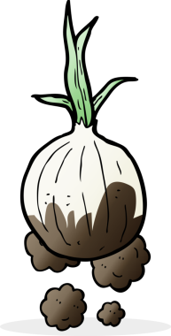 bir insan tarafından çizilmiş organik soğan karikatürü