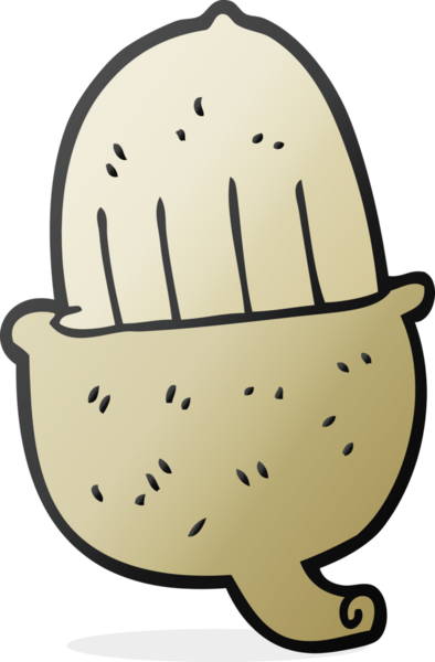 Bir insan tarafından çizilmiş meşe palamudu.