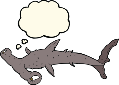 Bir insan tarafından çizilmiş düşünce baloncuklu çekiç başlı köpekbalığı.