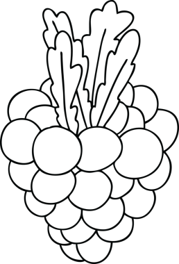 Bir insan tarafından çizilmiş bir demet garip üzüm çizimi