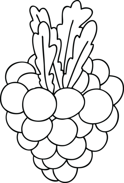 Bir insan tarafından çizilmiş bir demet garip üzüm çizimi