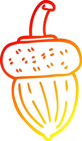 Bir insan tarafından çizilmiş bir palamutun sıcak çizgi çizimi