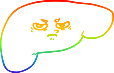 Bir insan tarafından çizilmiş karaciğerin çizimi.