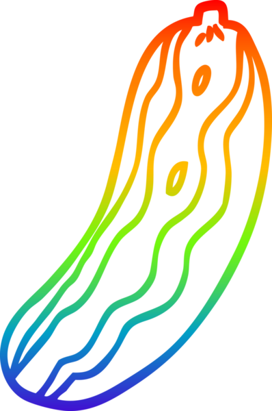 Bir insan tarafından çizilmiş bir salatalık bitkisinin çizimi.