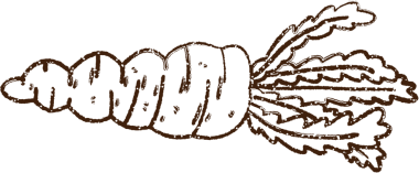 Bir insan tarafından çizilmiş havuç kömürü.