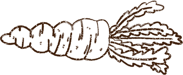 Bir insan tarafından çizilmiş havuç kömürü.