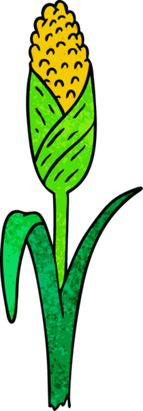 Bir insanın çizdiği koçandaki taze mısırın el yapımı karikatürü.