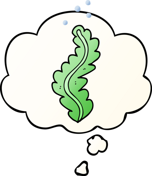 Bir insan tarafından çizilmiş yumuşak eğimli düşünce baloncuklu karton deniz yosunu.