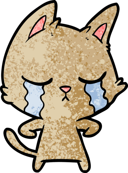 Bir insan tarafından çizilmiş ağlayan çizgi film kedisi.