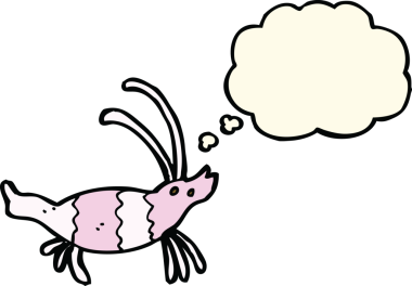 Bir insan tarafından çizilmiş düşünce baloncuklu karides.