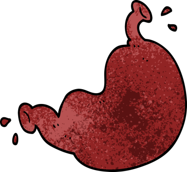 bir insan tarafından çizilmiş insan organı.