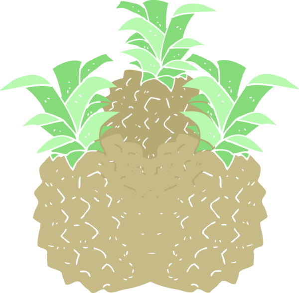 Bir insan tarafından çizilmiş ananasın düz renk çizimi