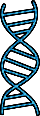 Bir insan tarafından çizilmiş bir DNA ipliğinin çizgi romanı.
