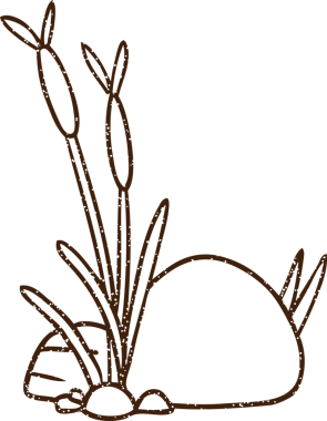 Bir insan tarafından çizilmiş sazlıklar kömürü çizimi