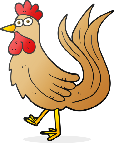 Bir insan tarafından çizilmiş serbest çizim çizgi film horozu.