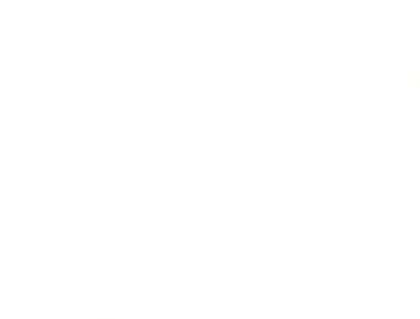 Bir insan tarafından çizilmiş nefes nefese köpek tebeşiri.