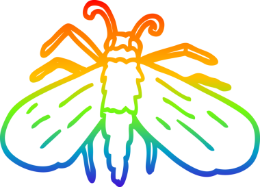 gökkuşağı gradyan çizgi çizimi bir insan tarafından çizilmiş çizgi bir arı