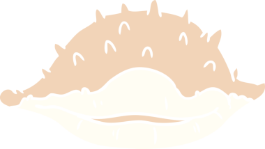 Bir insan tarafından çizilmiş bir deniz kabuğunun el çizimi karikatürü.