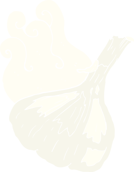 Bir insan tarafından çizilmiş sarımsağın düz renk çizimi