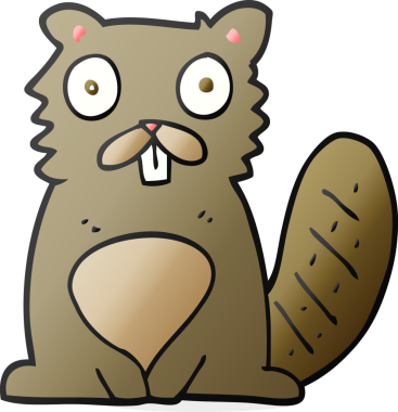 Bir insan tarafından çizilmiş karikatür kunduzu.