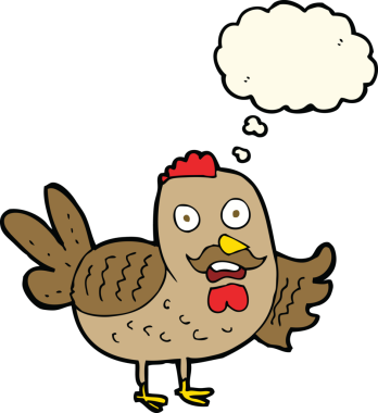 Bir insan tarafından çizilmiş düşünce kabarcığı olan yaşlı horoz çizgi filmi.