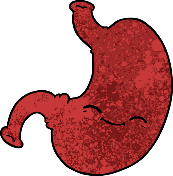 Bir insan tarafından çizilmiş midem.